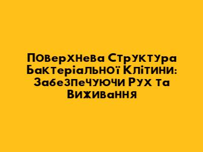 Поверхнева Структура Бактеріальної Клітини: Забезпечуючи Рух та Виживання