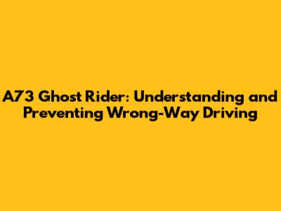 A73 Ghost Rider: Understanding and Preventing Wrong-Way Driving
