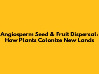 Angiosperm Seed & Fruit Dispersal: How Plants Colonize New Lands