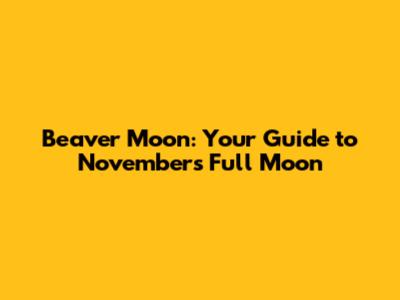 Beaver Moon: Your Guide to November's Full Moon