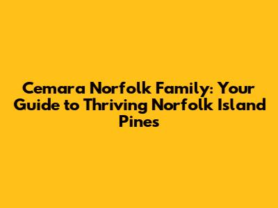 Cemara Norfolk Family: Your Guide to Thriving Norfolk Island Pines
