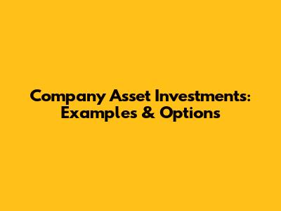 Company Asset Investments: Examples & Options
