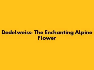 D'edelweiss: The Enchanting Alpine Flower
