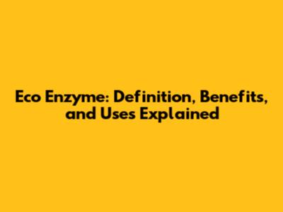 Eco Enzyme: Definition, Benefits, and Uses Explained