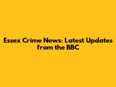 Essex Crime News: Latest Updates from the BBC