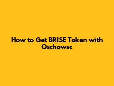 How to Get BRISE Token with Oschowsc