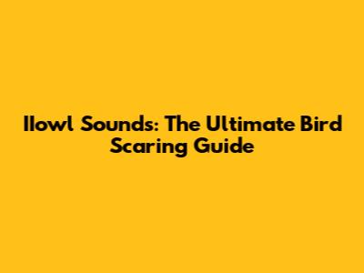 IIowl Sounds: The Ultimate Bird Scaring Guide