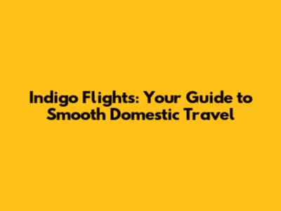 Indigo Flights: Your Guide to Smooth Domestic Travel