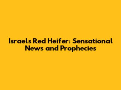 Israel's Red Heifer: Sensational News and Prophecies