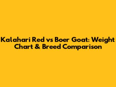 Kalahari Red vs Boer Goat: Weight Chart & Breed Comparison