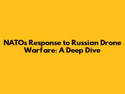 NATO's Response to Russian Drone Warfare: A Deep Dive