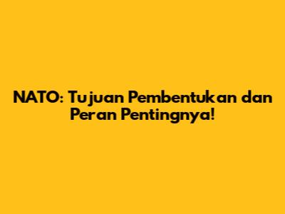 NATO: Tujuan Pembentukan dan Peran Pentingnya!