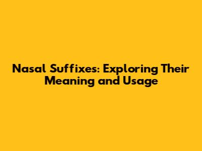 Nasal Suffixes: Exploring Their Meaning and Usage
