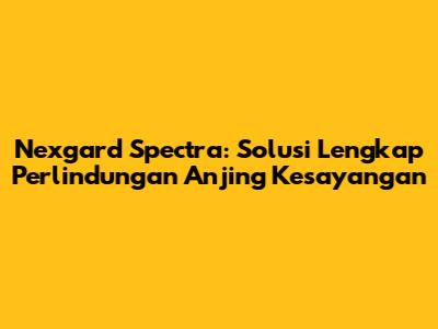 Nexgard Spectra: Solusi Lengkap Perlindungan Anjing Kesayangan