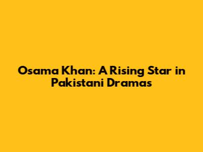 Osama Khan: A Rising Star in Pakistani Dramas