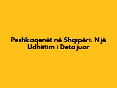 Peshkaqenët në Shqipëri: Një Udhëtim i Detajuar