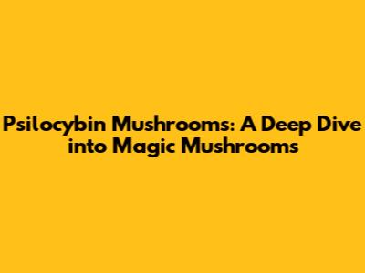 Psilocybin Mushrooms: A Deep Dive into Magic Mushrooms