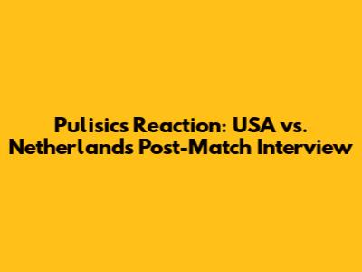 Pulisic's Reaction: USA vs. Netherlands Post-Match Interview