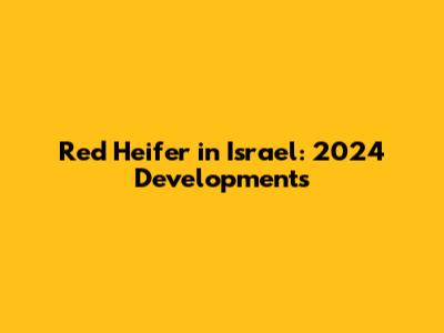 Red Heifer in Israel: 2024 Developments