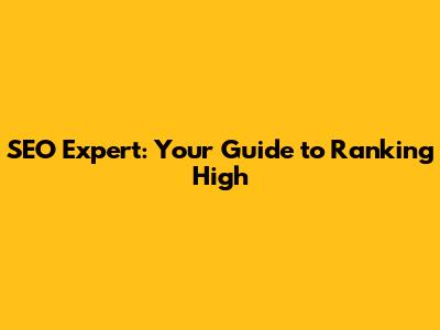 SEO Expert: Your Guide to Ranking High