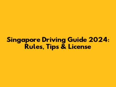 Singapore Driving Guide 2024: Rules, Tips & License
