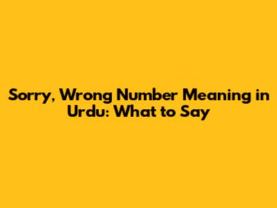 Sorry, Wrong Number Meaning in Urdu: What to Say