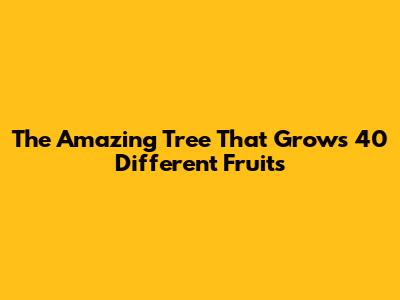 The Amazing Tree That Grows 40 Different Fruits