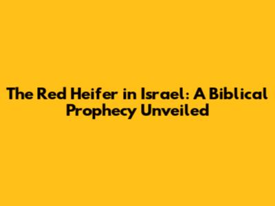 The Red Heifer in Israel: A Biblical Prophecy Unveiled