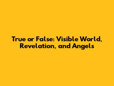 True or False: Visible World, Revelation, and Angels