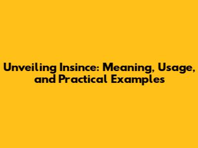 Unveiling Insince: Meaning, Usage, and Practical Examples